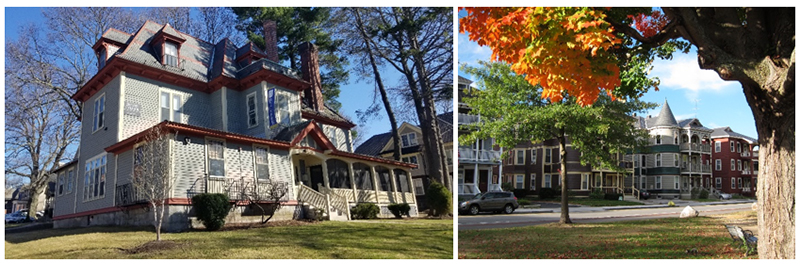 Collage of Two Homes in the Proposed Elm Park LHD