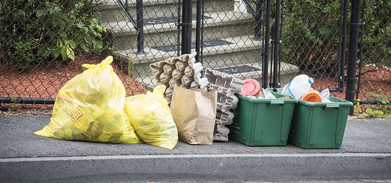 City Yellow Trash Bags and Recycling Bins at the Curb for Collection