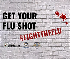 Graphic of White Brick Wall with Get the Flu Shot Overlay