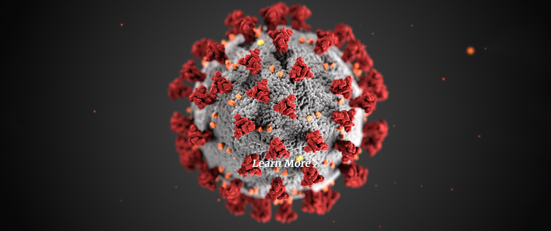 Closeup of Coronavirus