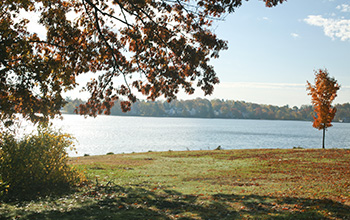 View of a park and pond