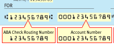 Check Routing Number Example