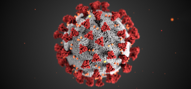 Coronavirus Computer Model