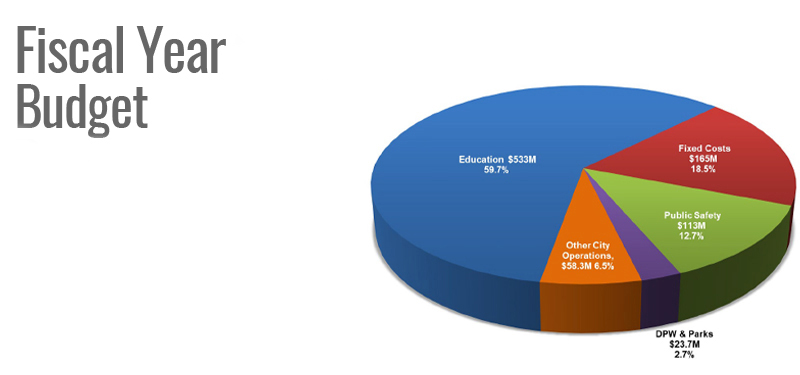 Pie Chart of the Annual Budget Data