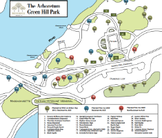 Map Image Showing the Locations of Various Trees at the Green Hill Park Arboretum