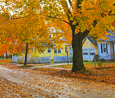 Residential Street with Fallen Leaves in the Road and on Lawns