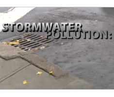 Stormwater Video Screenshot