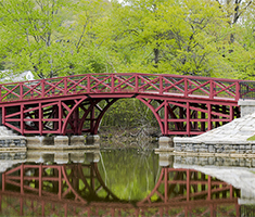 Red Footbridge Across Water with Green Trees in the Background at Elm Park
