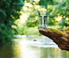 Clean Glass of Water Sitting on Mossy Log Above a Tree-Lined River