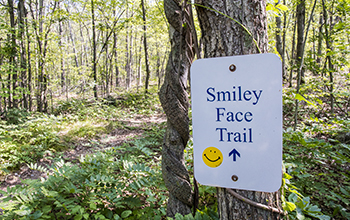 Trail Sign/Marker for the Smiley Face Trail
