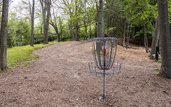Disc Golf Catcher at the 18th Hole at the Newton Hill Disc Golf Course
