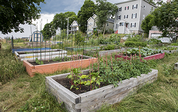 Community Garden Areas at Grant Square Park