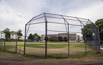 Baseball Field from Behind the Backstop at Mulcahy Field
