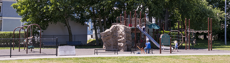 Playground Area with Swings, Slides, Climbing Walls and More