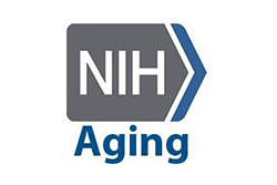 National Institute on Aging Logo, Grey Block with Arrow Shape with White Letters N I H and Blue Word Aging
