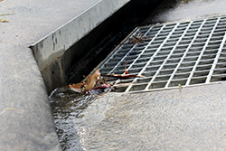 Storm Grate at Street Level with Small Amount of Water and Leaves Pouring In