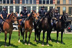 Four Police Officers on Horses Outside City Hall