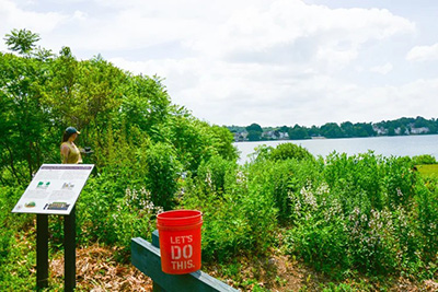 Rain Garden in front of Shore Park with Orange Bucket for Clean-Up