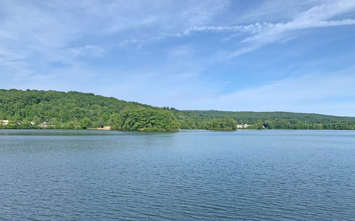 An image of Coes Reservoir in Worcester 