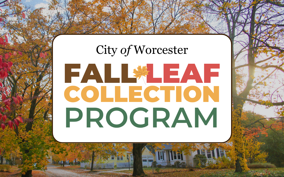 Photo of trees with text overlayed that reads, "Fall Leaf Collection Program"