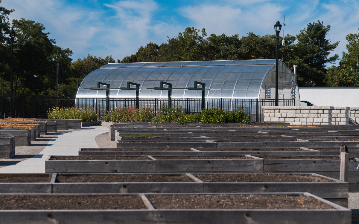 Photo of community garden planting beds in Green Hill Park 