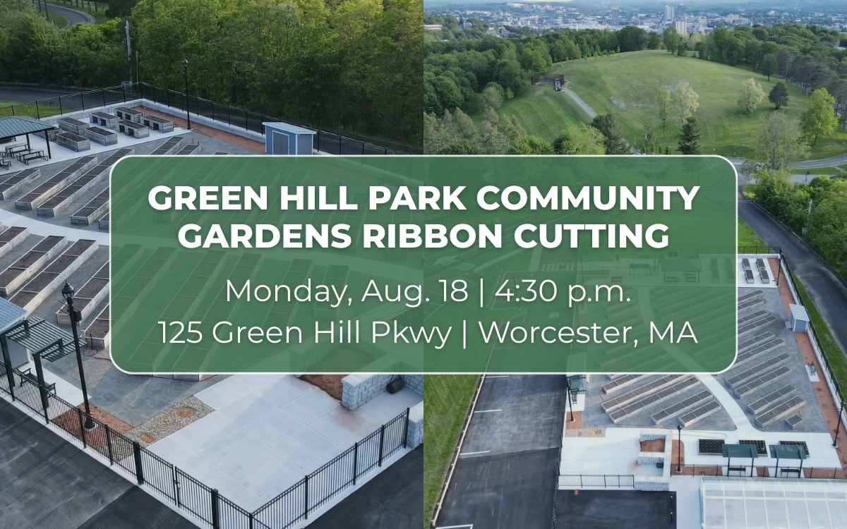 An image of community gardens at Green Hill Park with the text "Green Hill Park Community Gardens Ribbon Cutting Monday, Aug. 18, 4:30 p.m., 125 Green Hill Pkwy, Worcester MA 