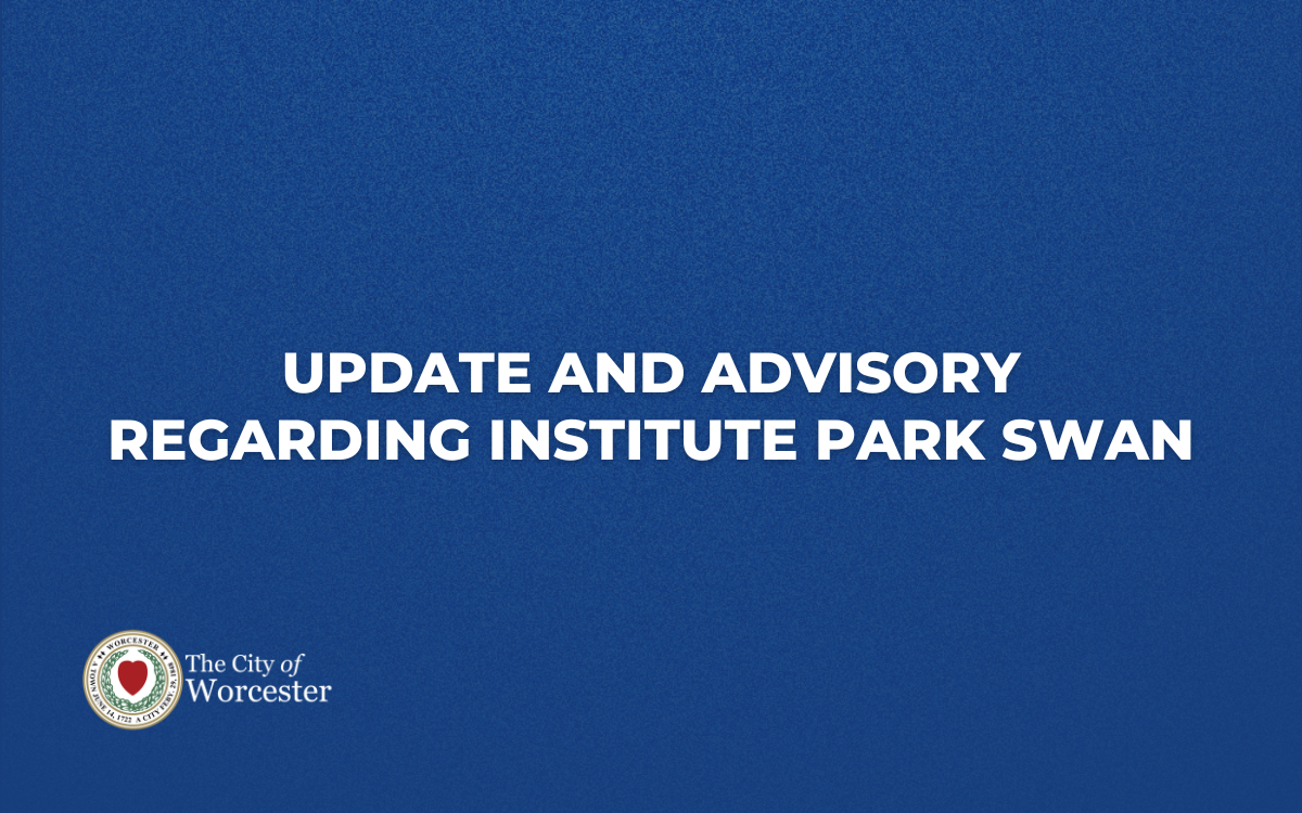 Blue graphic with City of Worcester logo and title of announcement Update and Advisory Regarding Institute Park Swan 