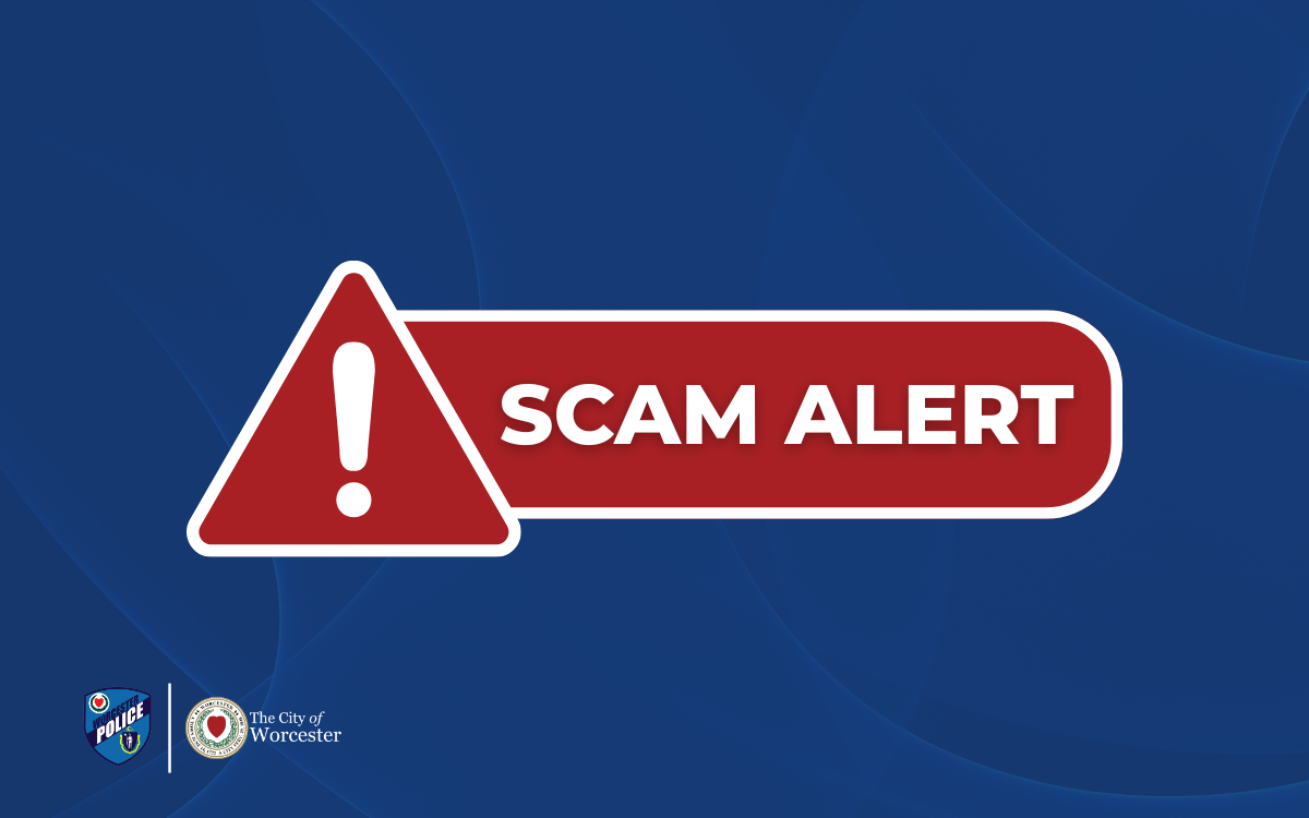 Blue graphic with text overlayed that reads, "Scam Alert"