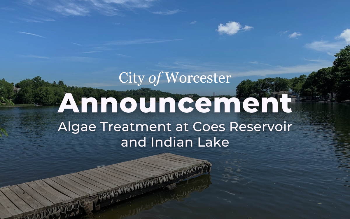 Photo of a dock in Indian Lake with text overlayed that reads, "Algae Treatment at Coes Reservoir and Indian Lake"