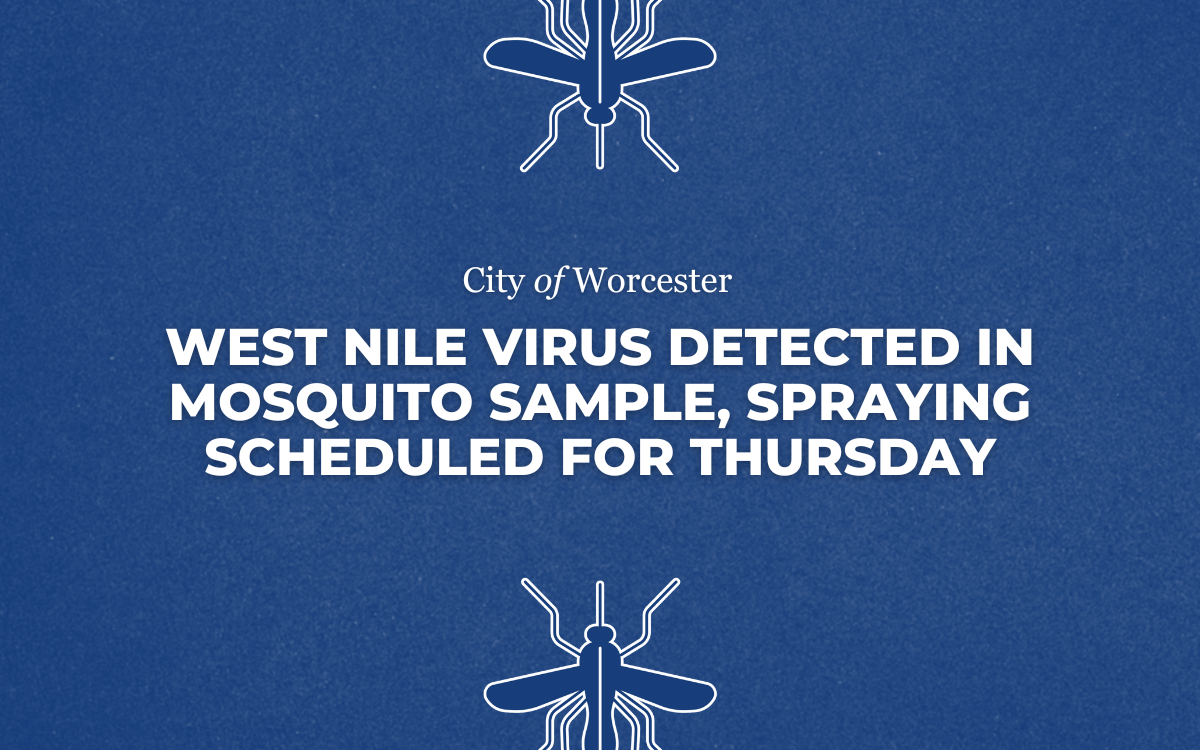 Dark blue background with outline of mosquitoes and text that reads "West Nile Virus Detected in Mosquito Sample, Spraying Scheduled for Thursday" 