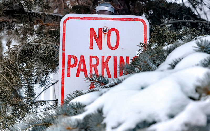 No Parking Sign Partly Covered by Snow Covered Tree