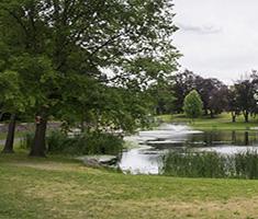 University (Crystal) Park Pond with Trees Around