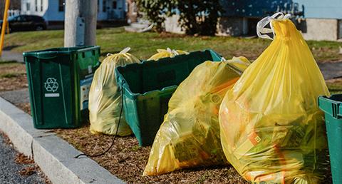 Yellow Trash Bags and Empty Green Recycling Bins Along the Curb of a City Street