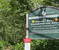 Ball Property Entrance Sign with Trees in Background 