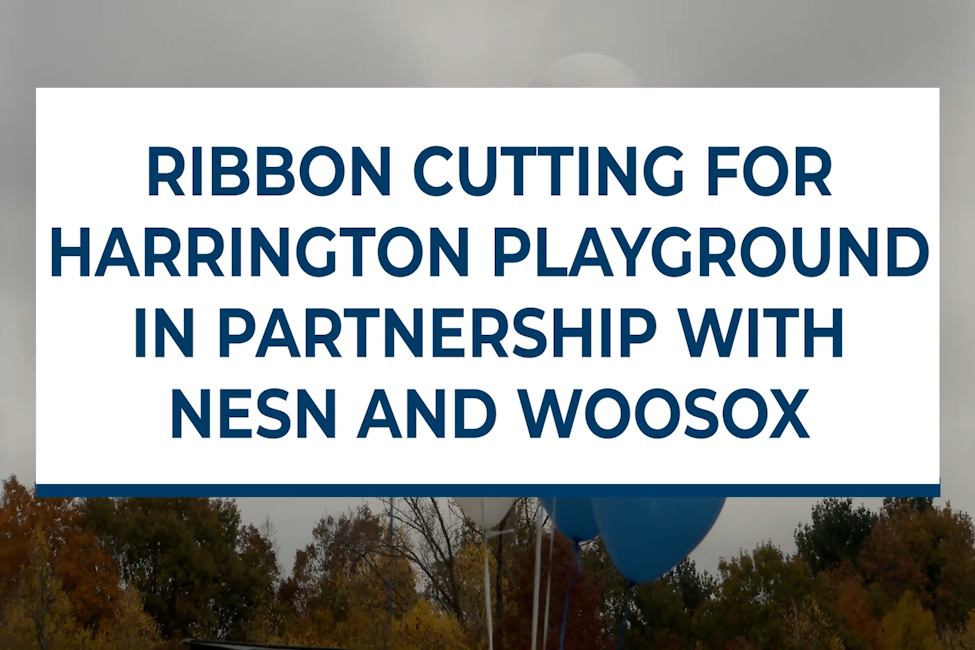  Meeting Screenshot Image